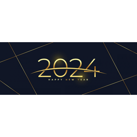 CARTE DE VOEUX 2024 OR SUR FOND BLEU IMPR RECT-VERSO X 100
